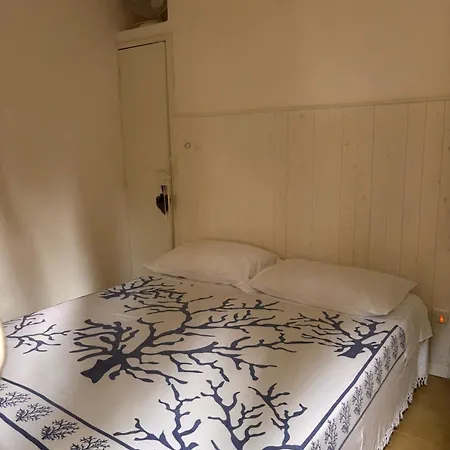 公寓 C 44 Con Posto 伊拉克里亚马勒