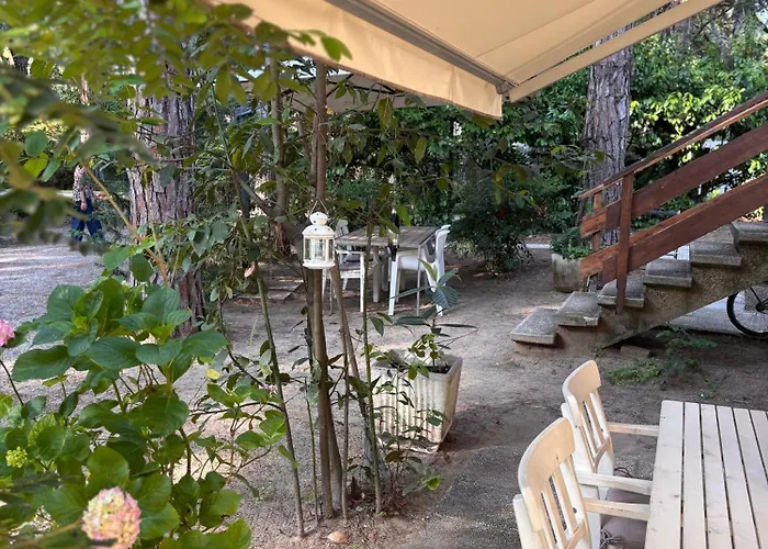 C 44 Con Posto شقة *